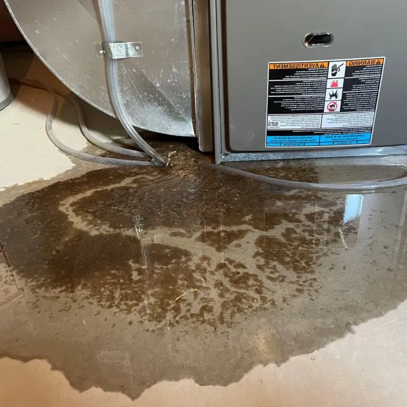 Pipe Burst and Leak Restoration in Hermon, ME