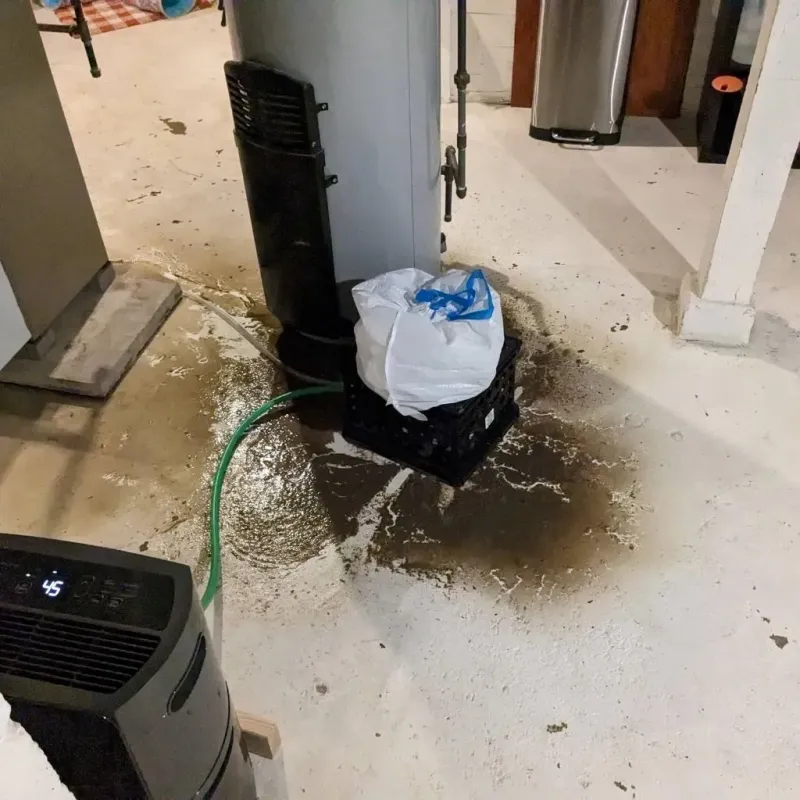 Sewage Backup Cleanup Service in Hermon, ME